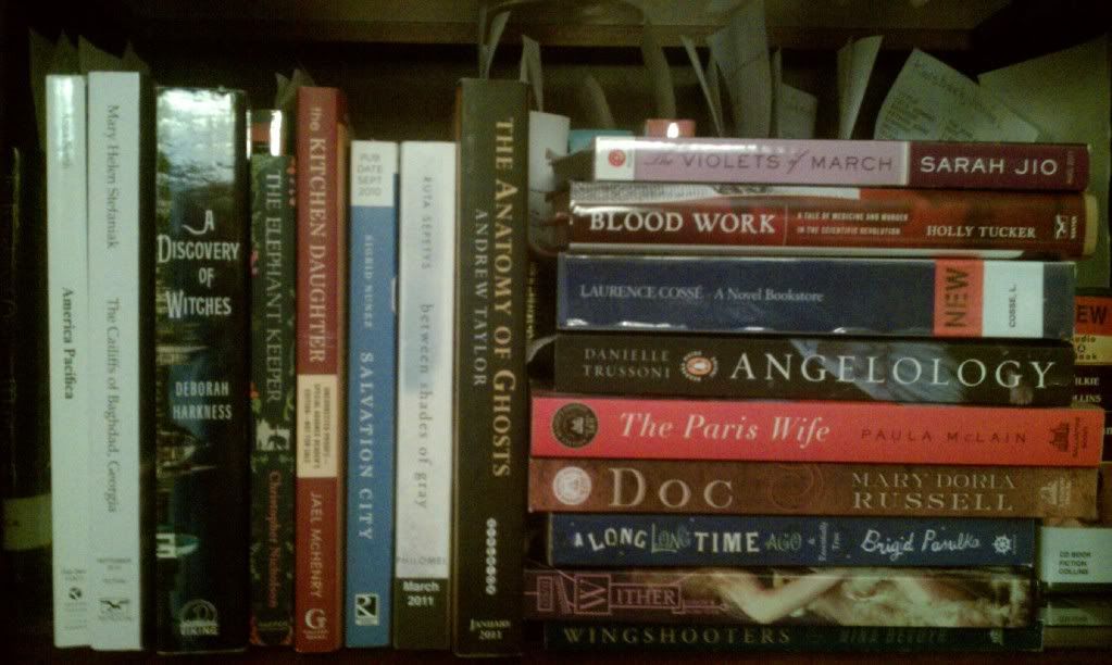 IMAG0099 picture