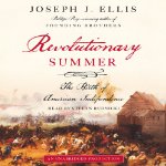 revolutionarysummer zpsbbc333c4 picture